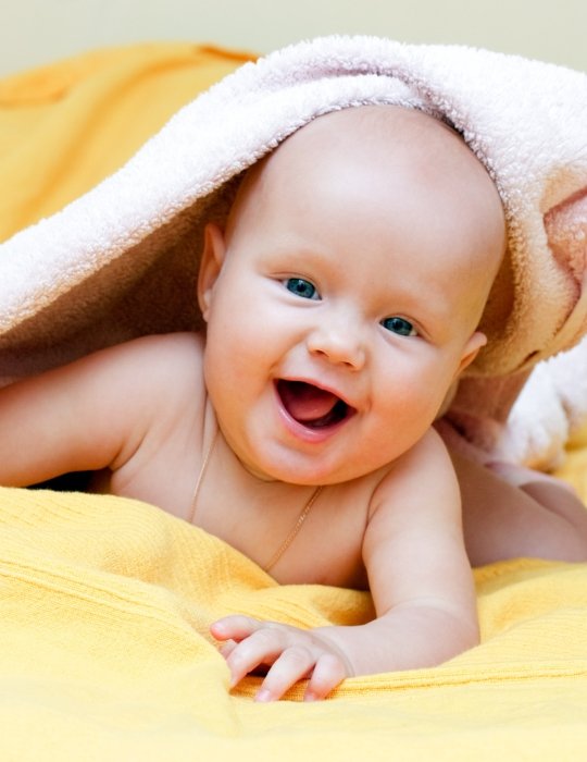 Trishakti Jyotish Services